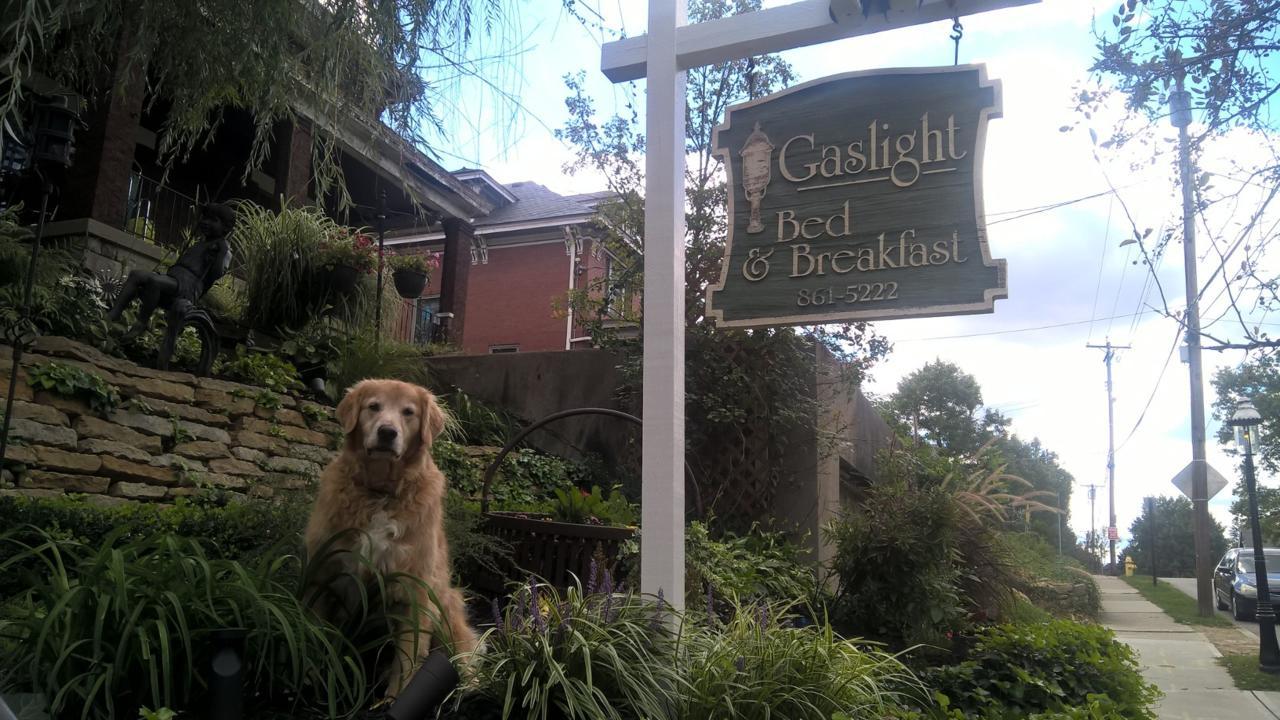 Gaslight Bed & Breakfast シンシナティ エクステリア 写真